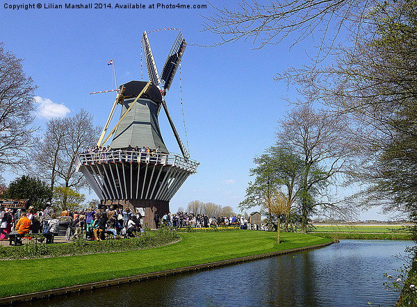 Restored windmill in Keukenhof Park, Picture Board by Lilian Marshall