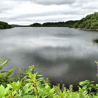 Buy canvas prints of Wayoh Reservoir by Lilian Marshall