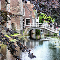 Buy canvas prints of Canals at Delft. by Lilian Marshall