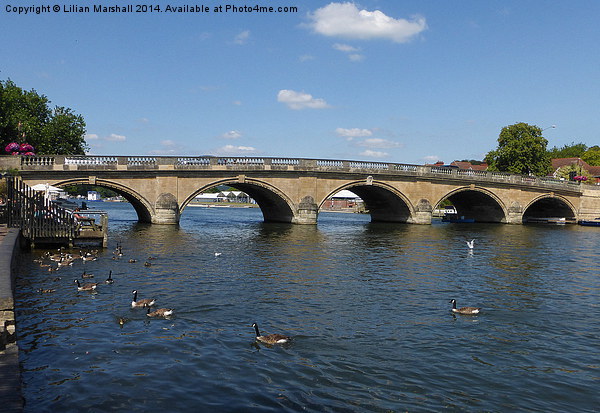  Henley on Thames road bridge. Picture Board by Lilian Marshall