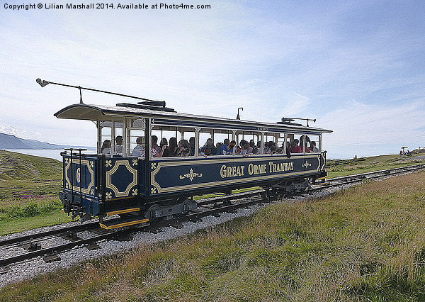  The Great Orme Tramway. Picture Board by Lilian Marshall