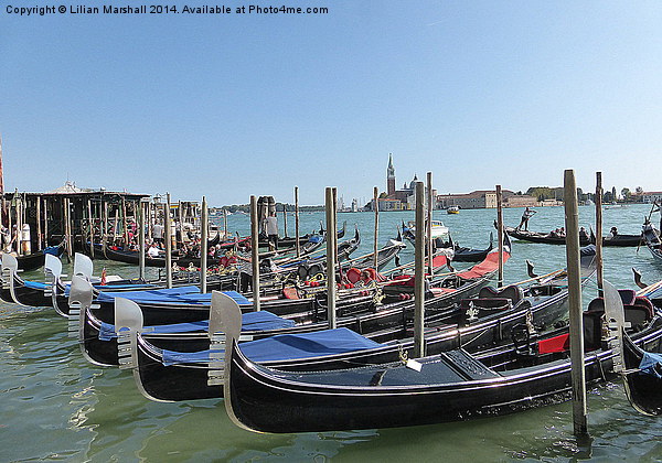  Venetian Gondolas. Picture Board by Lilian Marshall