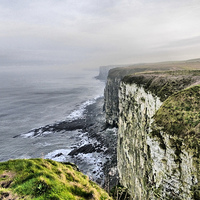 Buy canvas prints of  Bempton Cliffs. by Lilian Marshall
