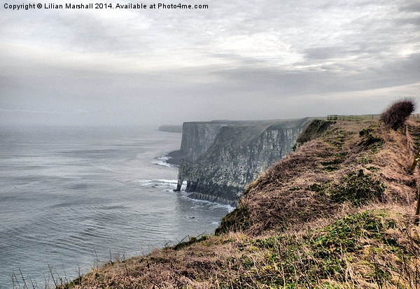  Misty Bempton Cliffs. Picture Board by Lilian Marshall