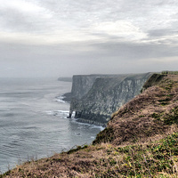 Buy canvas prints of  Misty Bempton Cliffs. by Lilian Marshall