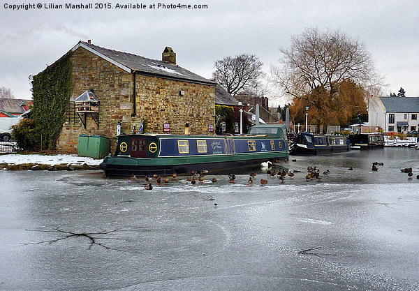  The Frozen Garstang Canal. Picture Board by Lilian Marshall