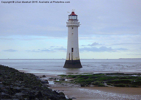  Perch Rock Lighthouse.  Picture Board by Lilian Marshall