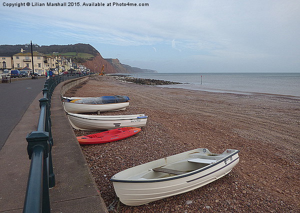  Sidmouth  Coastline. Picture Board by Lilian Marshall