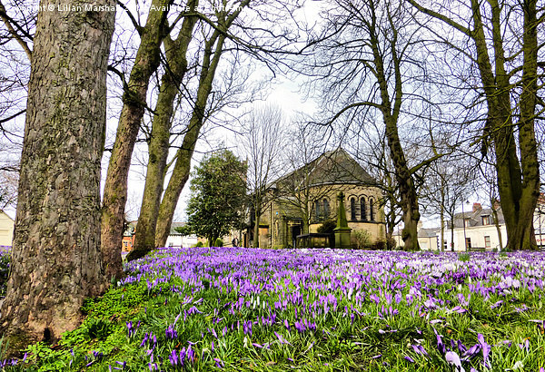  Spring time at St Chads. Picture Board by Lilian Marshall