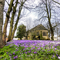 Buy canvas prints of  Spring time at St Chads. by Lilian Marshall