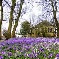 Buy canvas prints of  Springtime at St Chads. by Lilian Marshall