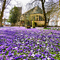 Buy canvas prints of  St Chads in Bloom. by Lilian Marshall