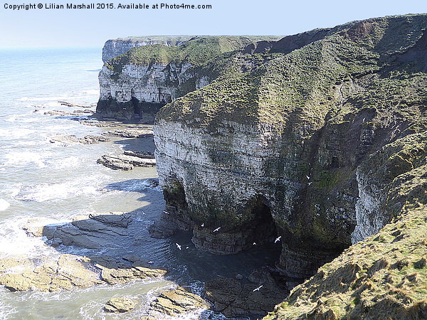  Flamborough cliffs.  Picture Board by Lilian Marshall