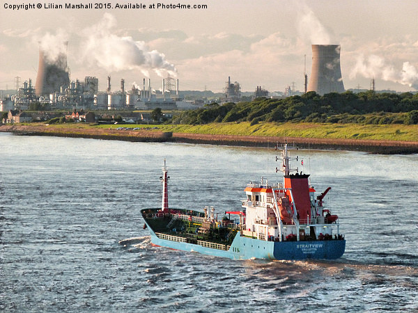  The Straitview Chemical Tanker  Picture Board by Lilian Marshall