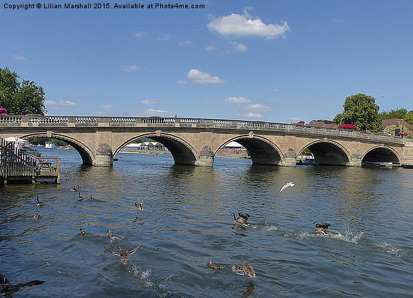  Henley on Thames Road Bridge. Picture Board by Lilian Marshall