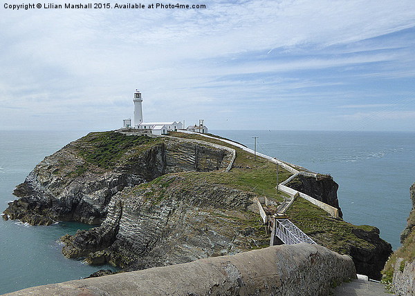  South Stack Lighthouse . Picture Board by Lilian Marshall