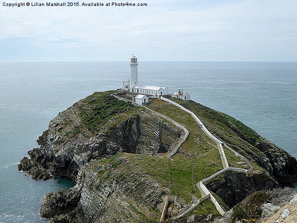  South Stack Lighthouse.  Picture Board by Lilian Marshall