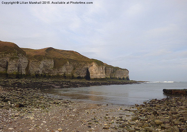  Flamborough Cliffs.  Picture Board by Lilian Marshall