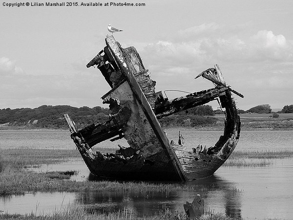 Decommissioned Trawler. Picture Board by Lilian Marshall