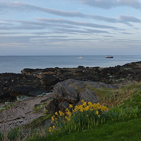 Buy canvas prints of  Brodick Bay.  by Lilian Marshall