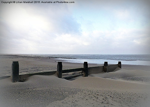  Groynes at Fleetwood Beach . Picture Board by Lilian Marshall