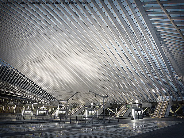  Liege Guillemins TGV Railway Station. Picture Board by Lilian Marshall