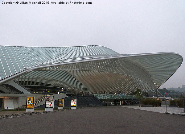  Liege Guillemins TGV Railway Station.  Picture Board by Lilian Marshall