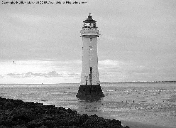  Perch Rock Lighthouse. Picture Board by Lilian Marshall