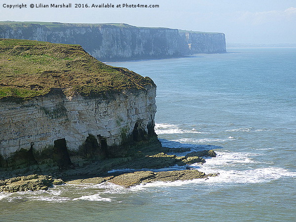 Flamborough Cliffs Picture Board by Lilian Marshall