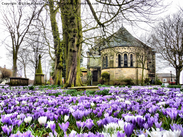 Springtime at St Chads.  Picture Board by Lilian Marshall