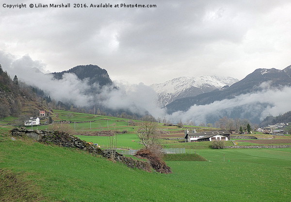 Rolling mist in the Swiss Alps.  Picture Board by Lilian Marshall