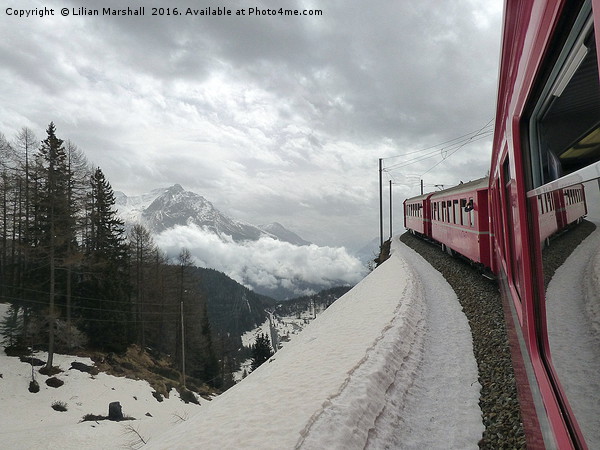 Bernina Train in the Swiss Alps. Picture Board by Lilian Marshall
