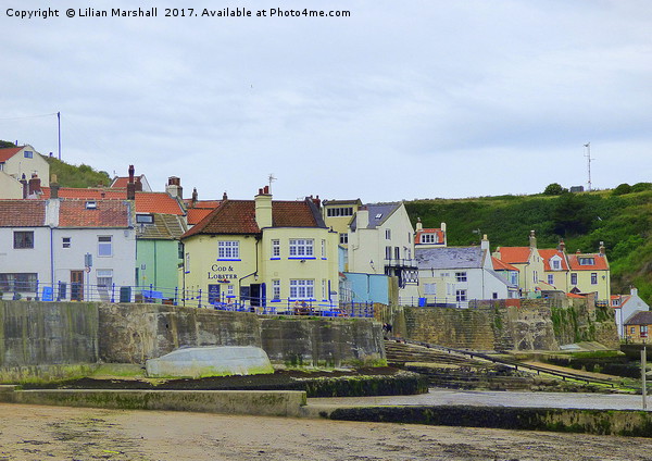 Cod and Lobster Staithes. Picture Board by Lilian Marshall
