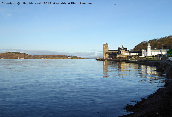 Oban Harbour, Scotland. Picture Board by Lilian Marshall