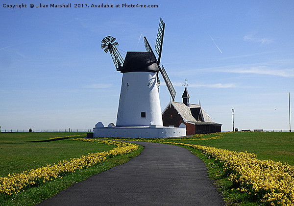Lytham Windmill. Picture Board by Lilian Marshall