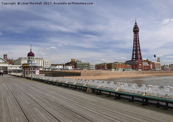 The Tower .Blackpool   Picture Board by Lilian Marshall
