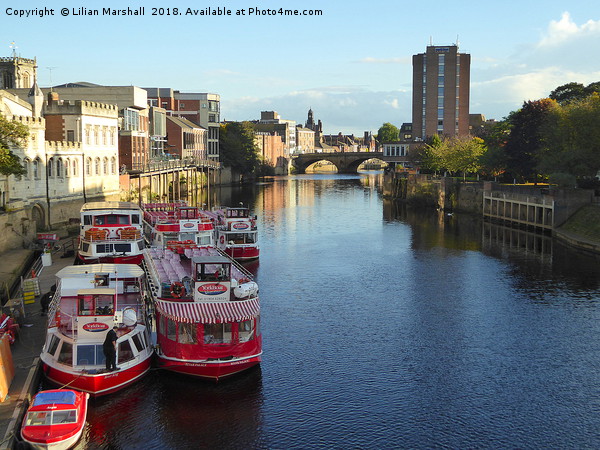 Pleasure boats moored at York.  Picture Board by Lilian Marshall