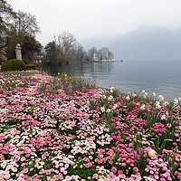 Buy canvas prints of Lake Lugano. Switzerland.  by Lilian Marshall