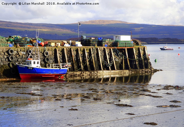 Fishermans Pier . Tobermoray Isle of Mull.  Picture Board by Lilian Marshall