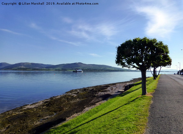 Promenade Isle of Bute Picture Board by Lilian Marshall