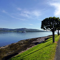 Buy canvas prints of Promenade Isle of Bute by Lilian Marshall