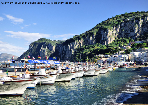 Isle of Capri Harbour.  Picture Board by Lilian Marshall