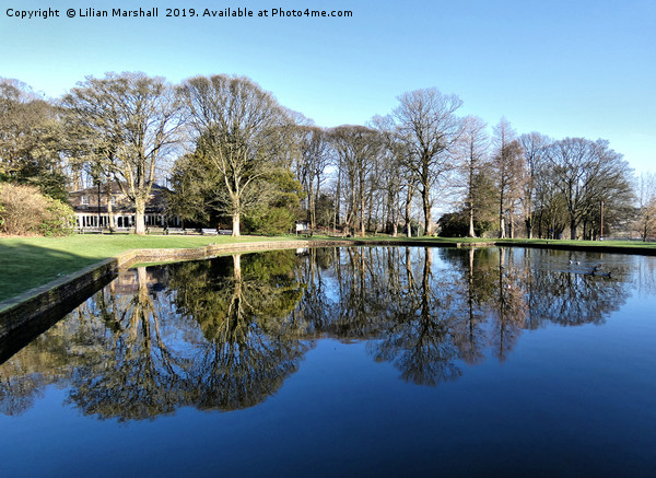 Reflections in Towneley Park.  Picture Board by Lilian Marshall