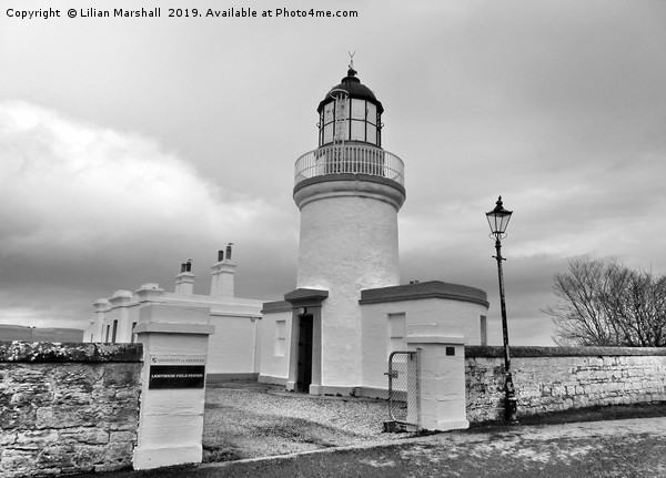 A grey day over Cromarty Lighthouse. Picture Board by Lilian Marshall
