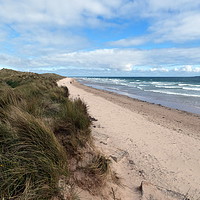 Buy canvas prints of Sand Dunes between Seahouses and Bamburgh.  by Lilian Marshall