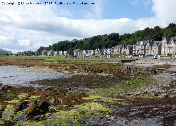 Millport Rocky Beach.  Picture Board by Lilian Marshall