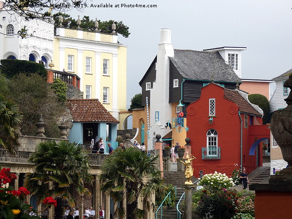 Portmeirion  Picture Board by Lilian Marshall