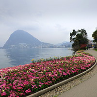 Buy canvas prints of Foggy Lake Lugano.  by Lilian Marshall