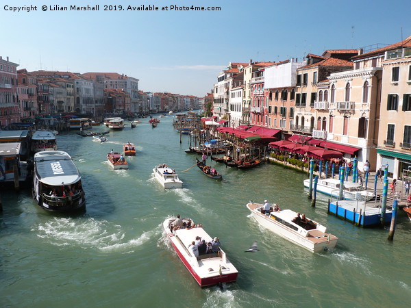 Grand Canal Venice.  Picture Board by Lilian Marshall