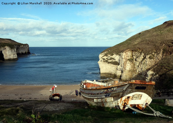 Flamborough  Cliffs.  Picture Board by Lilian Marshall